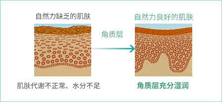 诺薇雅柔肤角质敷容霜