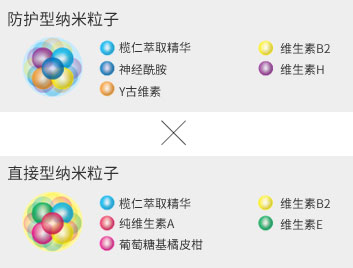 防护型纳米粒子,直接型纳米粒子