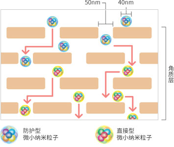 追求渗透的独家技术